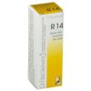 RECKEWEG R14 gocce 22 ml