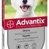 Advantix Spot On 4 Pipette Per Cani Da 4 A 10 Kg