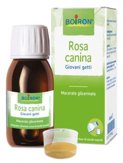 Rosa Canina Boiron Macerato Glicerico 60 ml