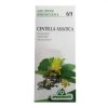 Centella Tintura Madre 50 ml
