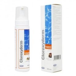 Clorexyderm Soluzione Disinfettante Schiumogena 200 ml