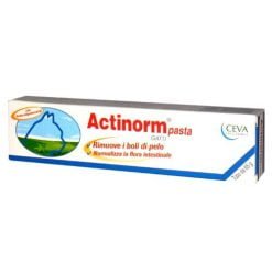Actinorm Pasta Gatti 65 grammi