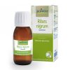 Ribes Nigrum Macerato Glicerico Boiron 60 ml