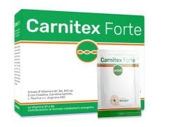 Carnitex Forte 20 Bustine