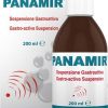 PANAMIR sospensione gastroattiva 200 ml