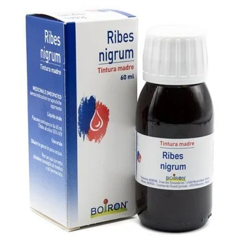 Ribes Nigrum Tintura Madre 60 ml