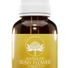 TRANSITION AUSTRALIAN BUSH FLOWER 30 ml
