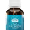 SELF CONFIDENCE AUSTRALIAN BUSH FLOWER 30 ml