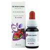 Eie Rosa Canina Gocce 60 ml