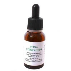 Alkaest Cordyceps Gocce 20ml