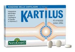 KARTILUS 40 compresse