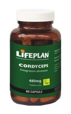 Cordyceps 60 Capsule