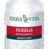 PILOSELLA Erba Vita 60 capsule