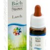 LARCH 19 10 ml GUNA