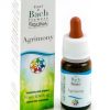 BACH GUNA AGRIMONY 1 10 ml