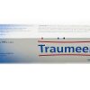 Traumeel S Pomata 100 grammi