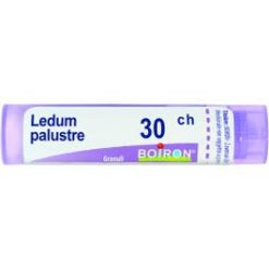 Ledum Palustre 30CH Granuli Boiron