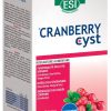 Cranberry Cyst 16 Pocket Drink