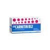 Cocarnitin B12 10 Flaconi 10 ml