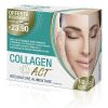 Collagen Act 10 Bustine