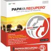 Papaya Recupero 14 Stick