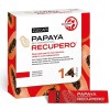 Papaya Recupero Integratore con Papaya Bio-Fermentata, Vitamine B, Ferro e Cordyceps 14 Bustine