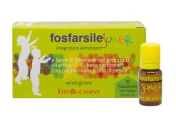 Fosfarsile Junior 10 Flaconcini