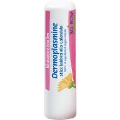 Dermoplasmine Stick Labbra Lenitivo 4 grammi