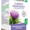 ARKOCAPSULE CARDO MARIANO BIO 45 capsule