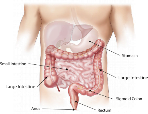 stomatite nei bambini -