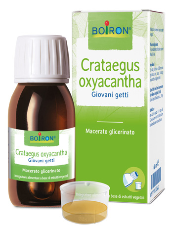Crataegus Oxyacantha Macerato Glicerico 60 ml - 4060449