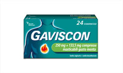 Gaviscon 250 mg+133,5 mg 24 compresse masticabili menta