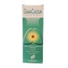Guaiacalcium Complex Sciroppo 200 ml - GetDoc.aspx3Faccesskey3DaRQ41GeY26tipodoc3DTE00226nomefile3DH0000795 -