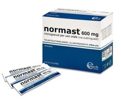 Normast 600 mg 30 Bustine Microgranuli
