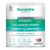 Somatoline Slim Advanced Collagene Marino Morosil Acido Ialuronico e Guaranà Gusto Frutti di Bosco 275 g - YcVmyzj2XlUw7NW1DLb8I6m0Whlo2Vya3XLZ4XEP -